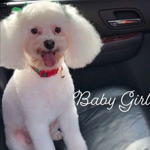 Meet your Posher, Paris